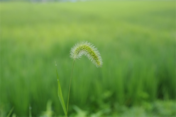 现代名人的座右铭大全