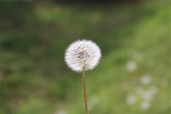 如何处世的座右铭大全