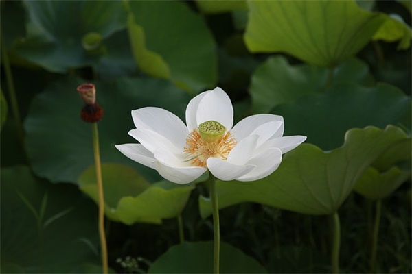 qq5个字的网名