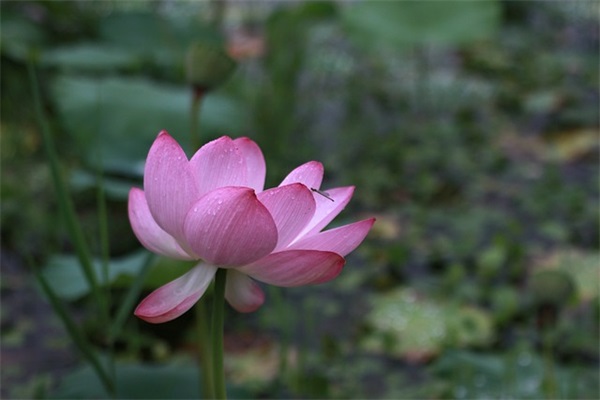 教训(精选3篇)