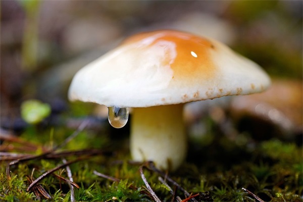 物业管理专员的岗位职责内容(精选4篇)