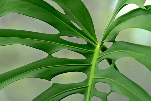 质量手册范本范例6篇