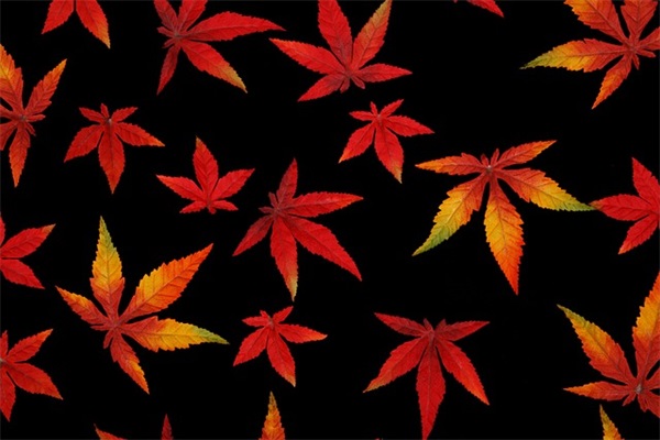 十八和谐综合广场范例6篇