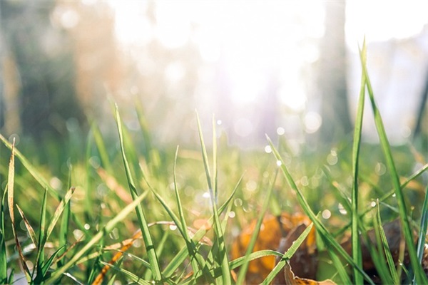 可爱的微商网名