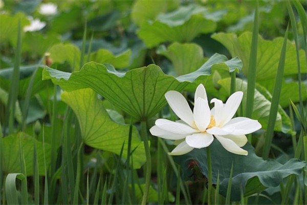 情侣网名污的可爱一对