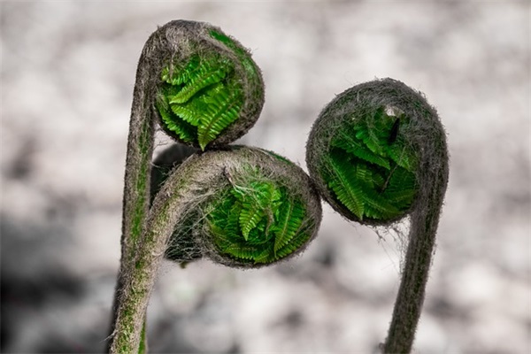qq网名 吊儿郎当