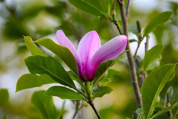 带宇字的qq网名女