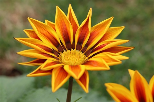 华晨宇个性网名