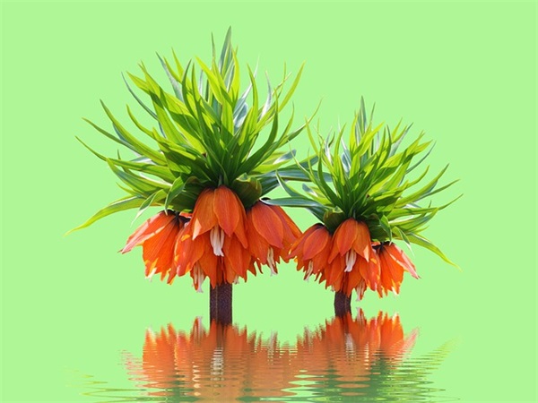 以孤开头的qq网名