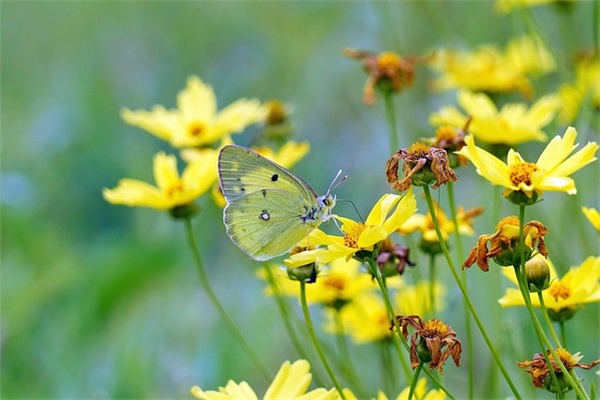 成熟励志网名可爱男生