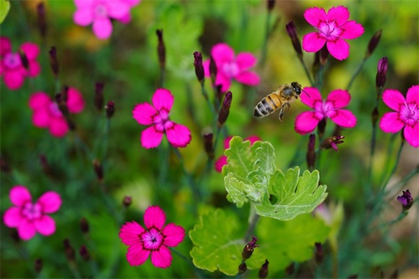 男生网名古风5个字的