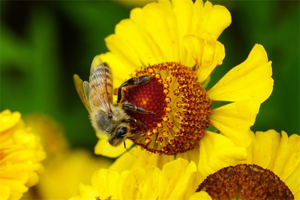 游戏网名女生简单团名