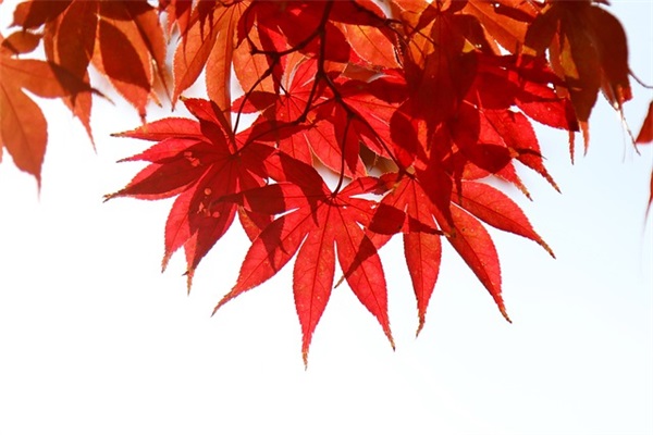 个性搞笑的网名男生