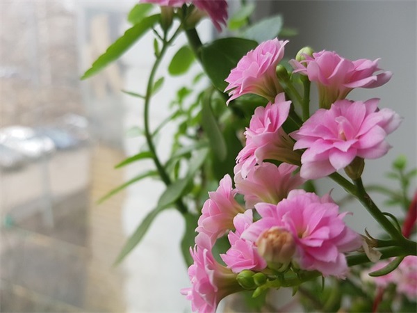 女性简单网名大全