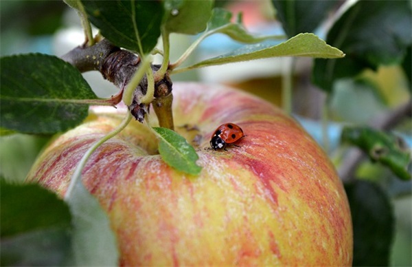 四字古风名字男生网名