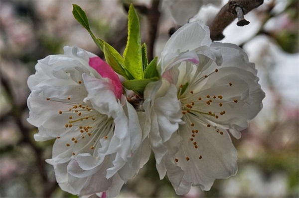 字母个性网名带符号