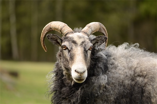 关于烟的超拽QQ网名