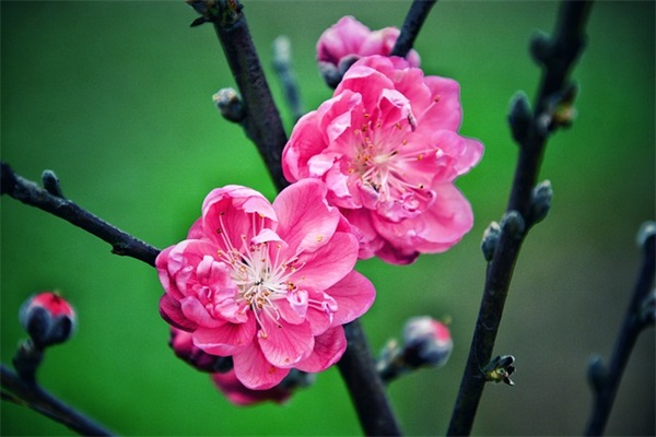 简单寓意情侣网名大全