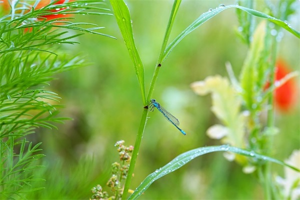 老子可爱吗闺蜜网名