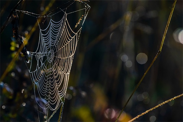 女生网名个性网名
