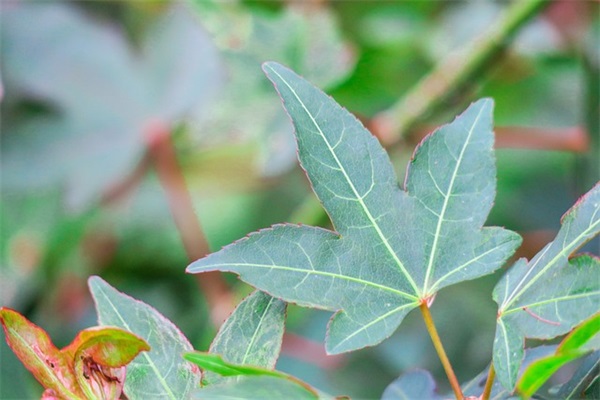 好听个性符号网名