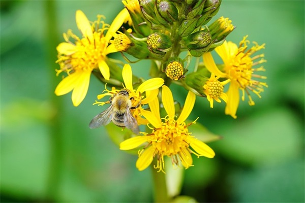 兄弟三人个性网名