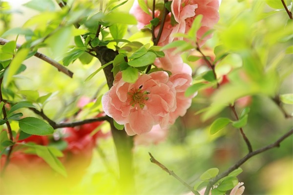 个性网名 叛逆尐