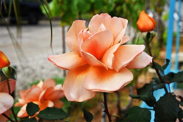 男生emo的qq网名