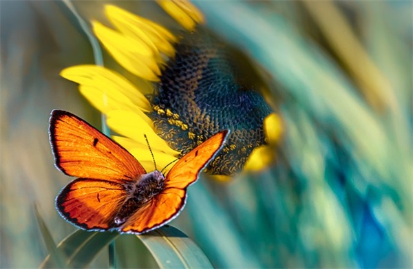 女生网名霸气有点可爱