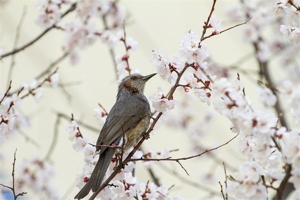 微信网名男生简单气质