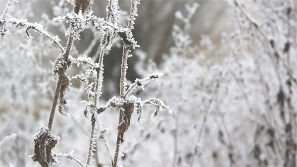 游戏个性网名涛
