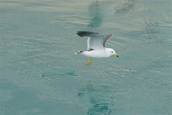 个性英文女生网名