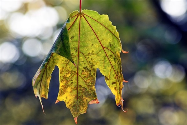 让人伤感的句子102句