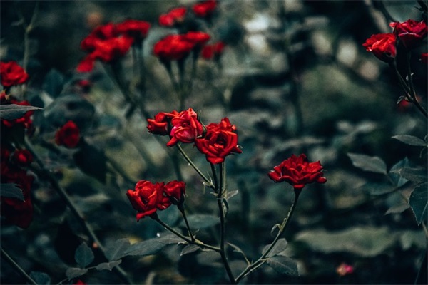 打工人的励志晚安简短句子