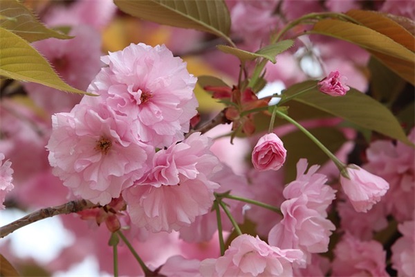 很伤心很伤心的句子 很难过很伤心的句子