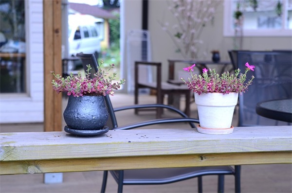 十年后你我范例6篇