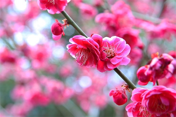 爱的故事范例6篇