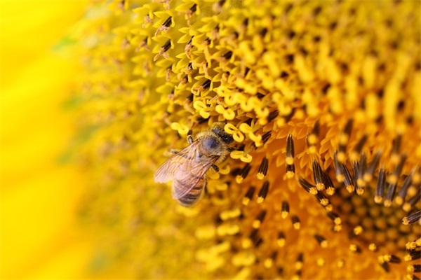 嫂子故事范例6篇