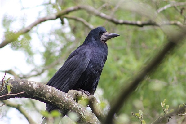 决胜制高点范例6篇