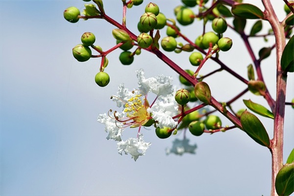 应急预案操作手册范例6篇
