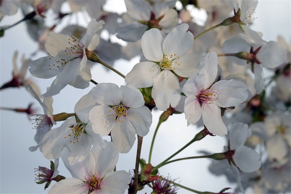 我没有很想你范例6篇