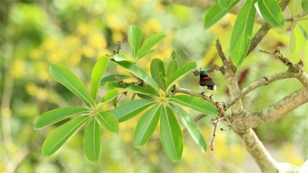 一横演讲范例6篇