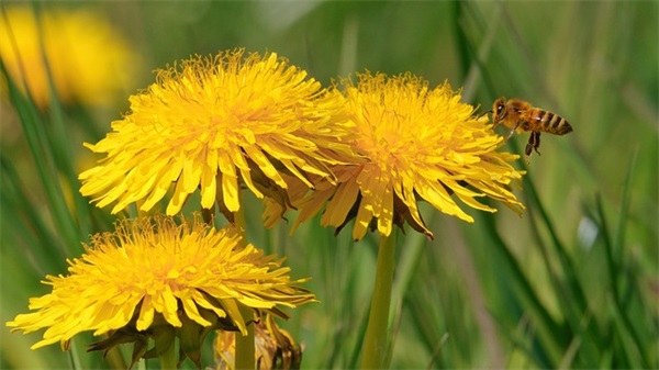 先进个人事迹简介范例6篇