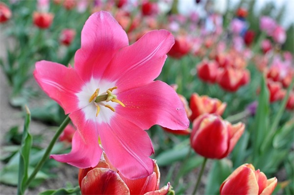 男同短篇小说范例6篇