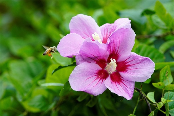 公共关系学论文题目范例6篇