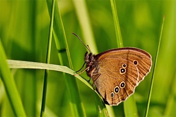 喜怒哀乐的作文范例6篇