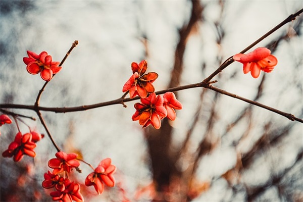 政法队伍教育整顿的目的和意义范例6篇