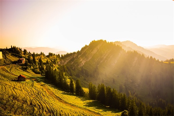 艺术节黑板报范例6篇