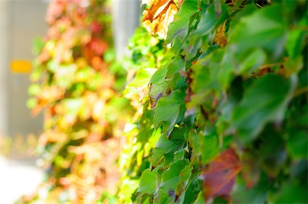 我们说好了一辈子在一起范例6篇