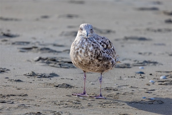 毕业后的伤感句子 毕业伤感句子